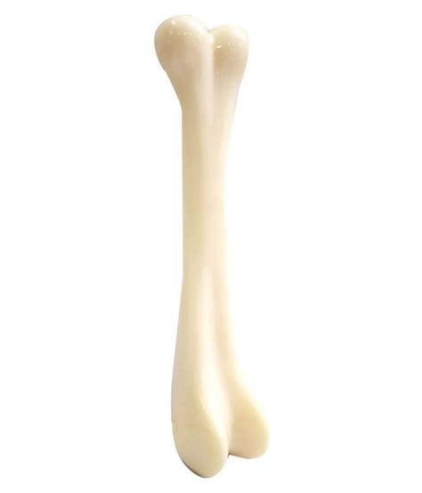 Nylon Dog Bone: Buy Nylon Dog Bone Online at Low Price - Snapdeal