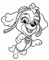 Happy Skye coloring Page  Download Print Or Color Online For Free sketch template
