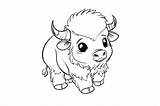 Baby Buffalo Coloring Page For Kids Graphic By Forhadx5 · Creative Fabrica sketch template