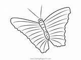 Butterfly On A Banana Leaf Coloring Page For Kids  Free Butterflies sketch template