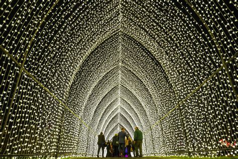 Winter wonderland: Dazzling 'Lightscape' comes to Brooklyn Botanic Garden - Brooklyn Magazine