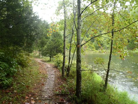 7 Brief But Beautiful Hikes Close To Nashville You Can Take In Under An Hour | Beautiful hikes ...