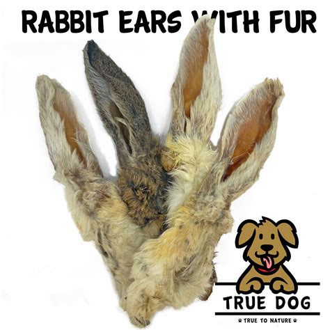 Natural Rabbit Ears with Hair 1kg - Hypoallergenic Dog Chew Treat - True Dog | eBay