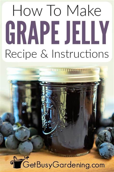 Concord Grape Jelly Recipe Certo, Sure Jell Grape Jelly Recipe, Concord Grape Recipes, Homemade ...