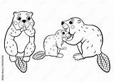 Beaver Coloring Pages sketch template