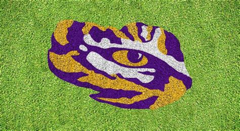 LSU Tiger Eye Stencil Kit - XL LSUOOS-003 - U-Stencil - A Stencil Universe