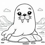 Adorable Walrus coloring Page  Download Print Or Color Online For Free sketch template