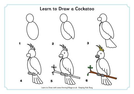 Learn to Draw a Cockatoo