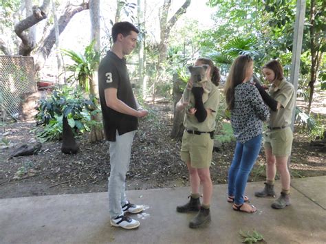 OurTravelPics.com :: Travel photos :: Series brisbane :: Photo 648 :: Tim and the zoo keepers ...