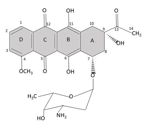 Resistance Mechanism of Acute Myeloid Leukemia Cells Against Daunorubicin and Cytarabine: A ...