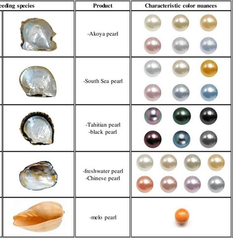 #columns #names #Pearl #producing #species #trade | Jewelry knowledge, Crystals and gemstones ...