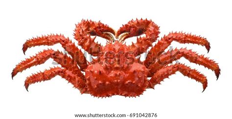 Red King Crab