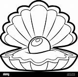 Sea Shells Coloring Page Printable Sketch sketch template