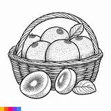 Premium Vector  Fruit Basket Line Art Illustration For The coloring sketch template