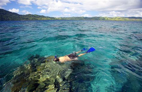 Coral Garden Snorkeling - Koro Sun Resort