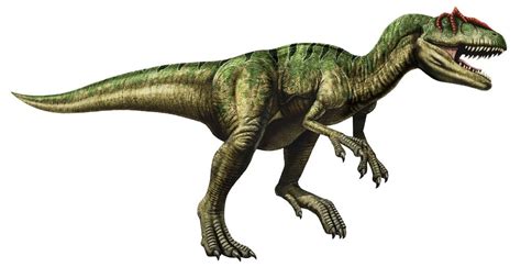 Allosaurus: Facts About the 'Different Lizard' | Live Science