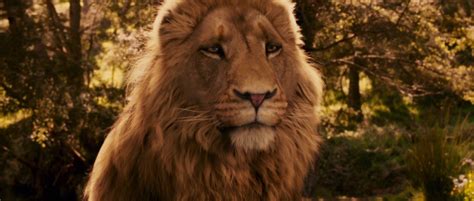 The Chronicles of Narnia: The Lion, The Witch & The Wardrobe - The Chronicles Of Narnia Image ...