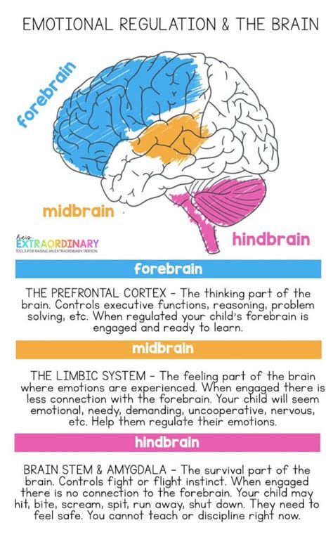 Executive Functions - What are They? How Can You Help Your Child Develop These Skills