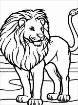 Lion  Kids Coloring Pages sketch template