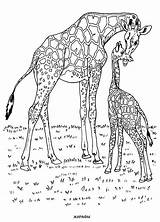 Animal Coloring Pages Free Printable sketch template