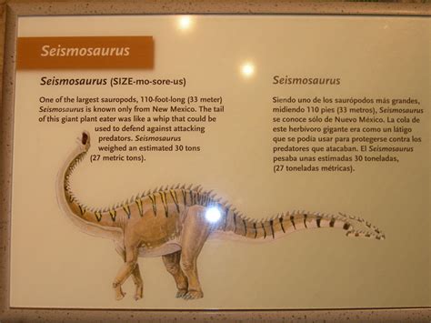 Seismosaurus Sign | Inside the New Mexico Museum of Natural … | Jimmy Emerson, DVM | Flickr