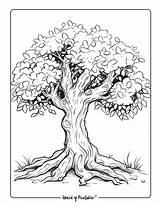 Tree Coloring Pages  World Of Printables sketch template