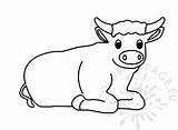 Sitting ox  Coloring Page sketch template