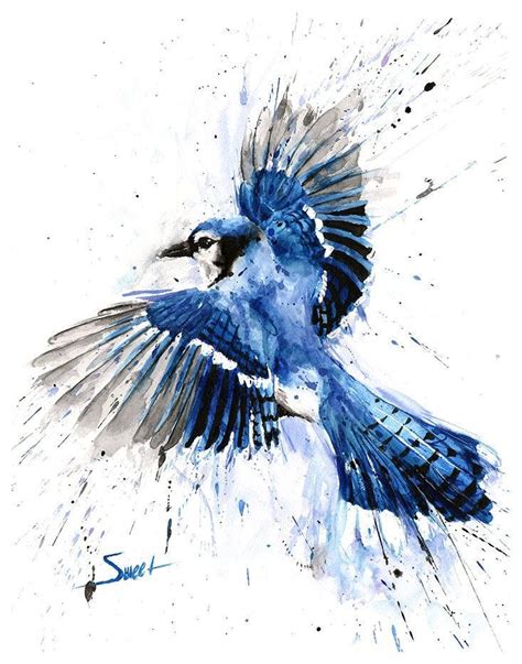 Blue Jay Flying Watercolor Painting Art Print by Eric Sweet - Etsy | Blue jay art, Watercolor ...