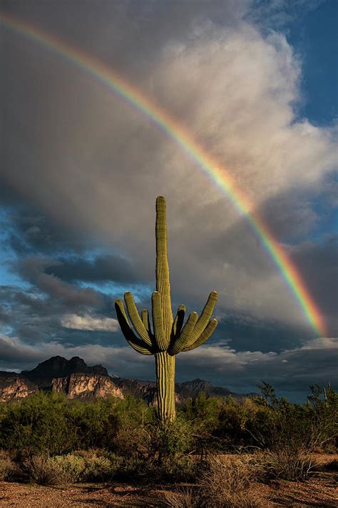 The Rainbow After The Rain Photograph by Saija Lehtonen - Fine Art America