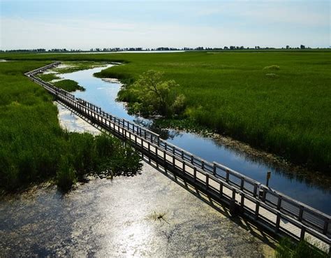 Point Pelee National Park