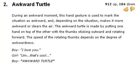 Happy Peeples: Awkward Turtle