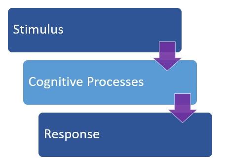 Cognitive Learning Theory - The Peak Performance Center