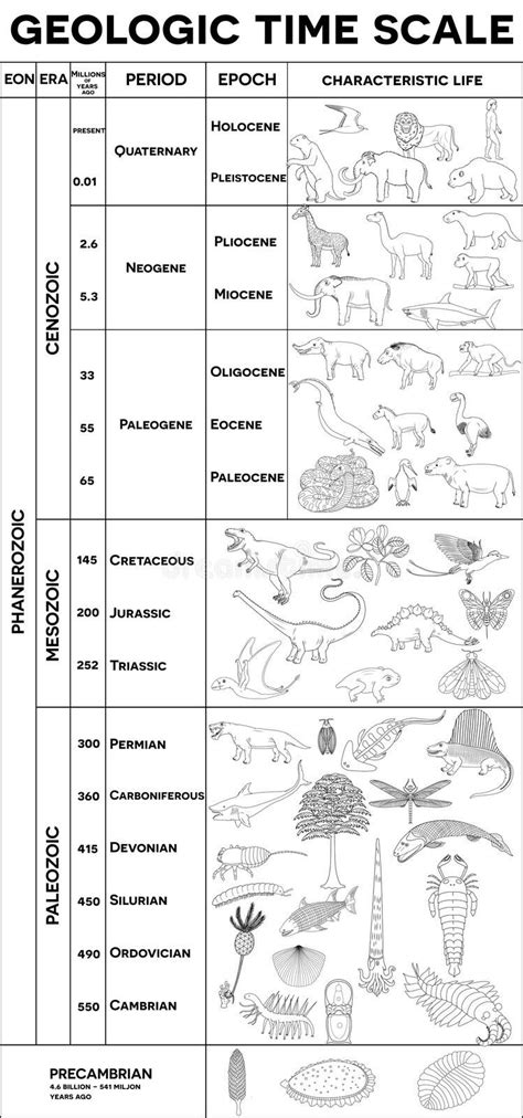 Animals Evolution Activity Stock Illustrations – 49 Animals Evolution Activity Stock ...