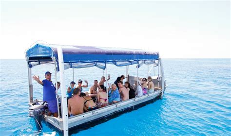 Glass-bottom-boat-tour | Reef Experience