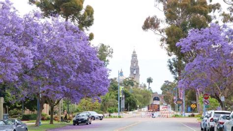 PHOTOS: San Diego weather - June 2021 - La Mesa California