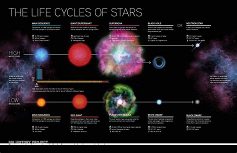 The Incredible Life Of Stars | Daily Infographic