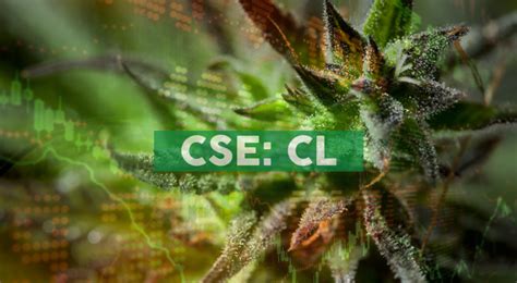 Cresco Labs Announces Opening of Sunnyside South Beloit, Its 8th Dispensary in Illinois and 18th ...