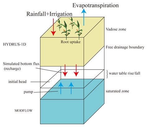 Agriculture | Free Full-Text | Interaction Simulation of Vadose Zone ...