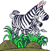 Detail Gambar Zebra Kartun Hitam Putih Koleksi Nomer 9
