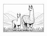 Free Llama Coloring Pages For Kids sketch template