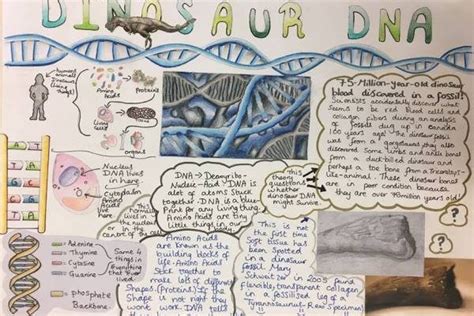 British Science Week Poster Competition- We Need Your Votes! | Braeside School