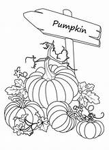 Pumpkin Patch Coloring Pages  Free Printable For Kids sketch template
