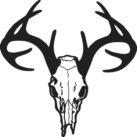 Whitetail Deer Head Vector at Vectorified.com | Collection of Whitetail ...