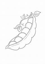 Peas Coloring Page sketch template