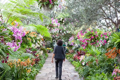 15 Breathtaking Botanical Gardens to Visit This Season | Botanical gardens, Orchid show, Orchids