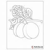 Peaches Coloring Page sketch template