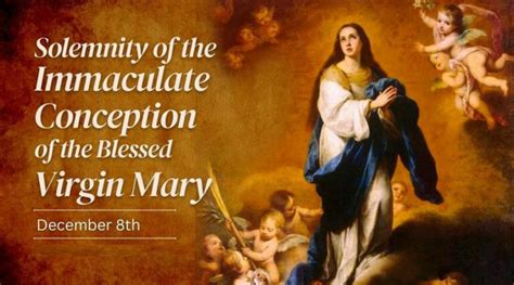 December 8, 2023, Solemnity of the Immaculate Conception of the Blessed ...