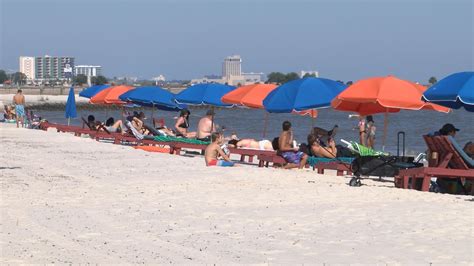 Are Dogs Allowed On Biloxi Beaches