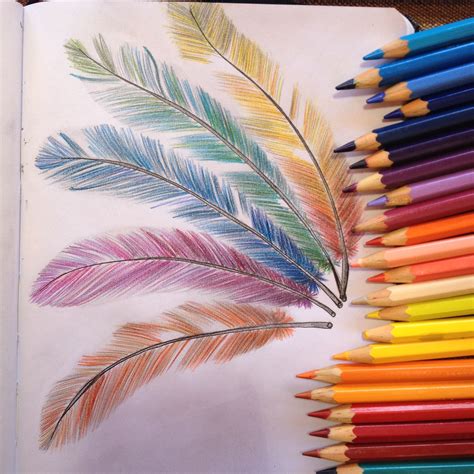 Colorful feathers in 2019 | Pencil drawings, Color pencil art, Colored pencils