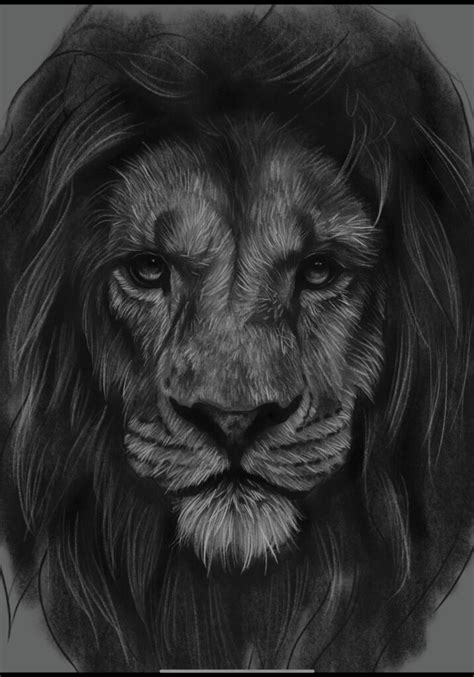 How To Draw A Realistic Lion Face